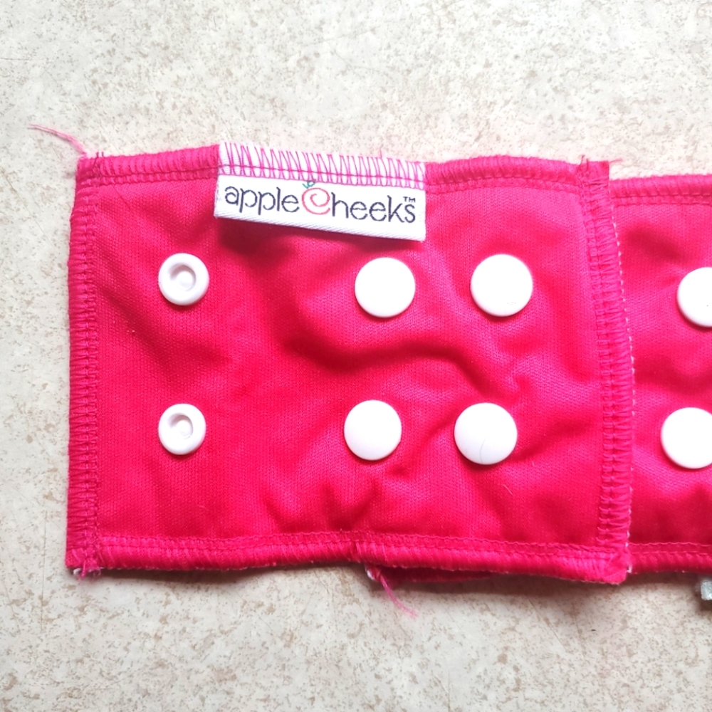 Apple Cheeks Cloth Diaper Set - Picture 9 of 16
